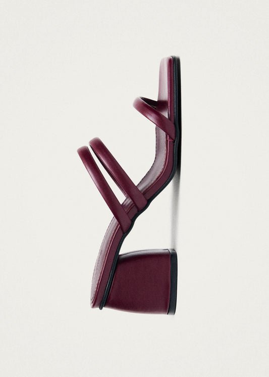 Indiana Bare Sandali in Pelle Bordeaux-image