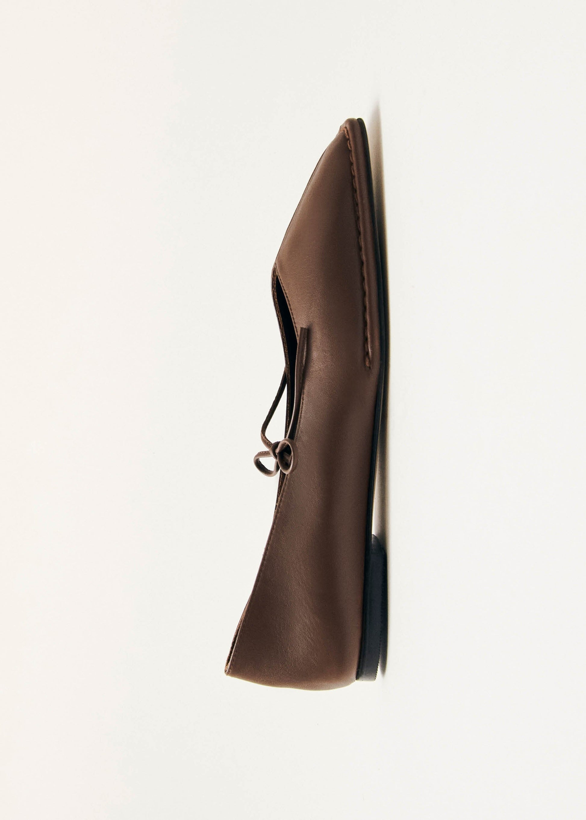 Sway Ballerines en cuir marron