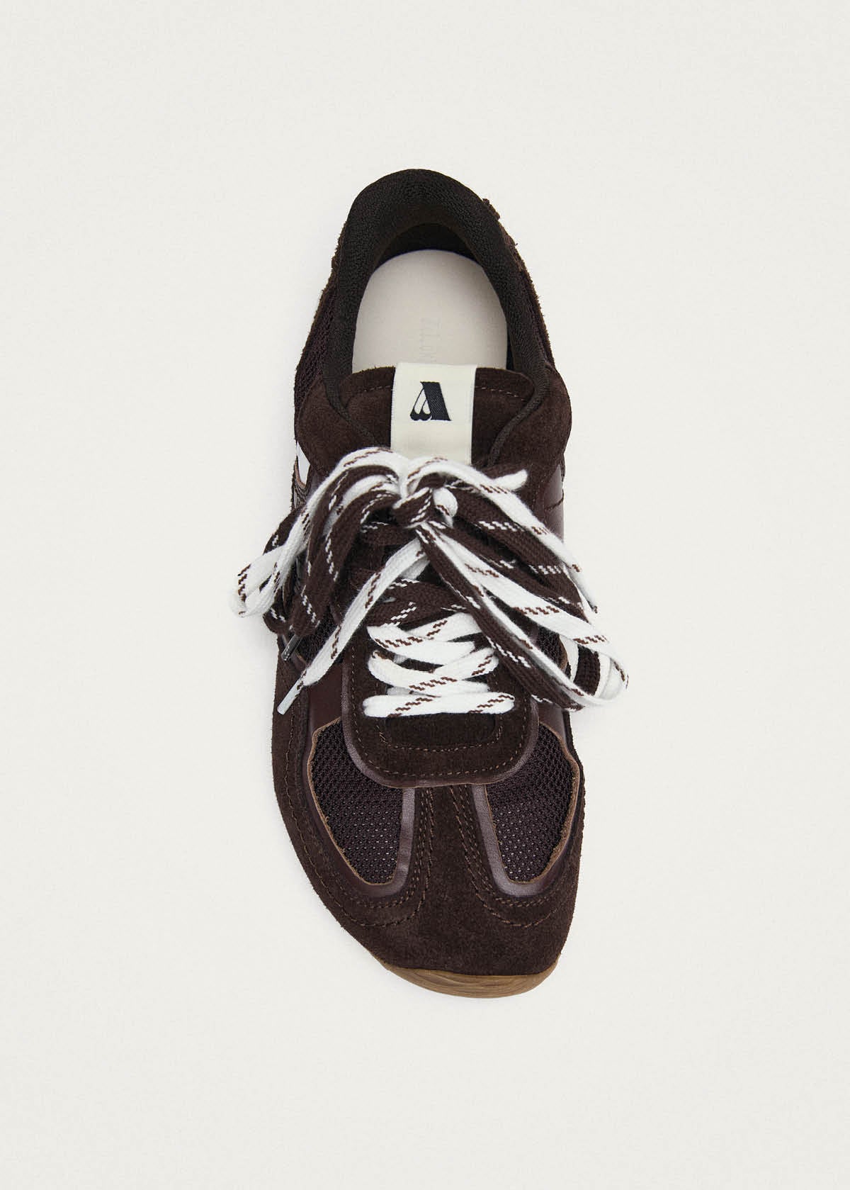 Tb.33 Dark Brown Leather Sneakers