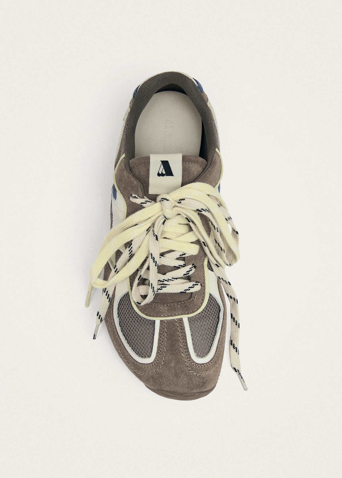 Tb.33 Sneakers In Pelle Color Taupe
